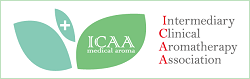 一般社団法人ICAA